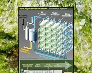 Sustainable Farming Practices to Improve Soil Health Sustainable Farming Practices to Improve Soil Health